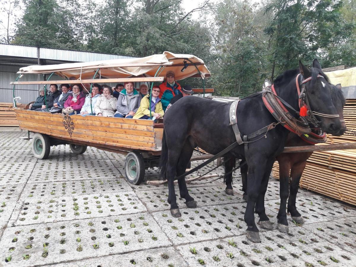 Agroturystyka U Misia Niedzwiedz Exterior foto